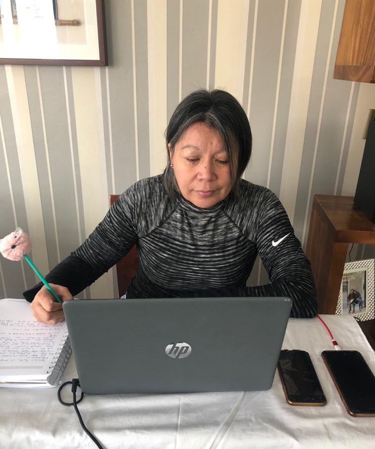 Profesionales del CAVI de la Región de Antofagasta se actualizan en atención psicológica