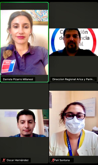 Programa Adulto Mayor de Arica y Parinacota sostuvo reunión con Centro de la Mujer