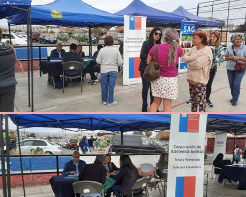 CAVI Región de Arica y Parinacota en terreno