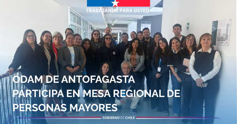Antofagasta: Participación en mesa regional de personas mayores